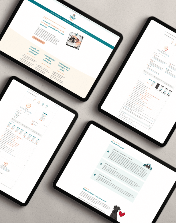 Optimalisatie Pipilou Helpt