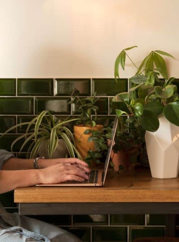 Zo kies je een whitelabel WordPress onderhoudspakket